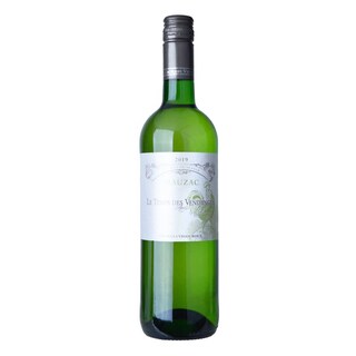 France - Frankrijk | Sud-Ouest - Côtes de Duras | Le Temps des Vendanges Mauzac 2019 