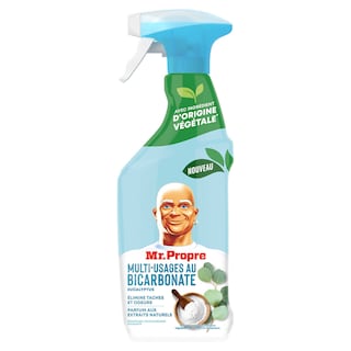 Mr Propre | Spray | Bicarbonate | 500ml 