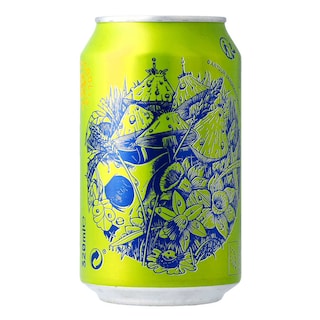 Yugen | Kombucha | Raw | Apple Mint | Bio 