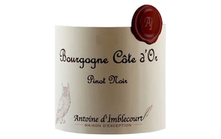 Antoine D'Imblecourt | Bourgogne Cote d'Or 75 cl