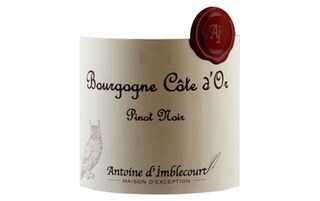 Antoine D'Imblecourt | Bourgogne Cote d'Or 