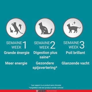 Purina ONE | Kattenvoeding |Sterilised |Rund 