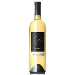 Chateau Constellation | Fendant du Valais | 2022 
