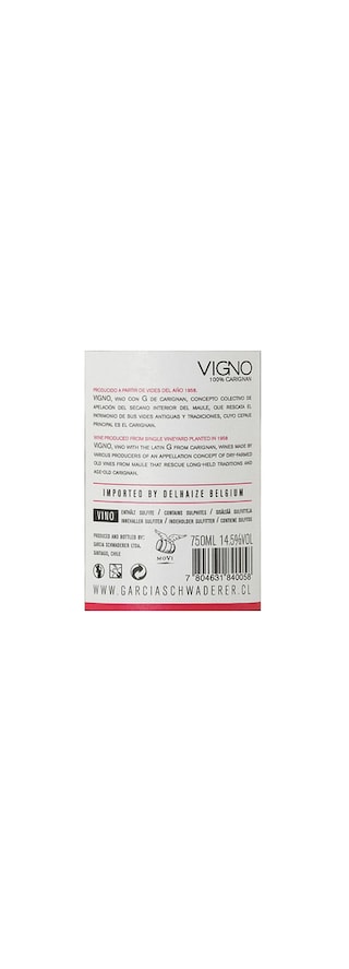 Vigno | Maule | Carignan | 2013 