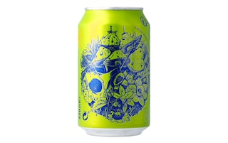 Yugen | Kombucha | Raw | Apple Mint | Bio 