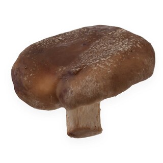 Delhaize | Shiitake 