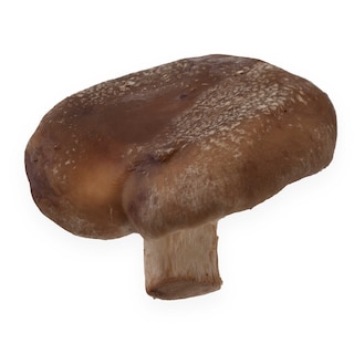 Delhaize | Shiitake 