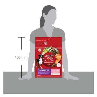 Purina ONE | Hondenvoeding | Medium/Max | Brokjes | Zalm 