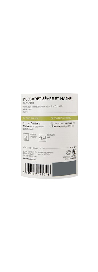 France-Frankrijk | Muscadet de Sèvre Et Maine AC | Muscadet de Sèvre Et Maine Wit 