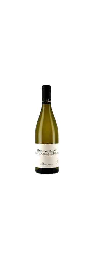 Alexandre Gauvin | Hautes Cotes de Beaune | 2023 