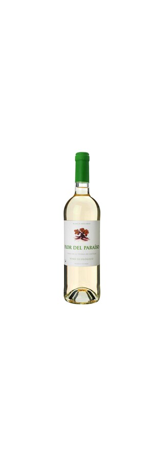 Espange-Spanje | CASTILLA LA MANCHA | Flor de Paraiso | 75CL | Bio | 2019 | Vin blanc 