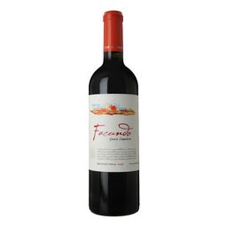 Chili | CASABLANCA VALLEY | Facundo Blend 2010 | Rouge 
