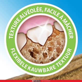 Dentalife | Hygiène buccale | Mini | Snacks Chien 