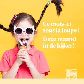Delhaize | Leaflet 1 pc