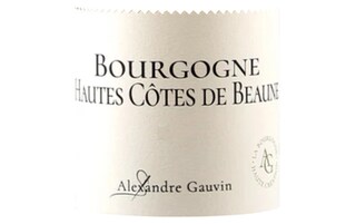 Alexandre Gauvin | Hautes Cotes de Beaune | 2023 75 cl