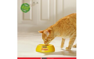 Purina-Friskies | Kattenvoeding | Volwas | Kip-Konijn-Groenten+300g 