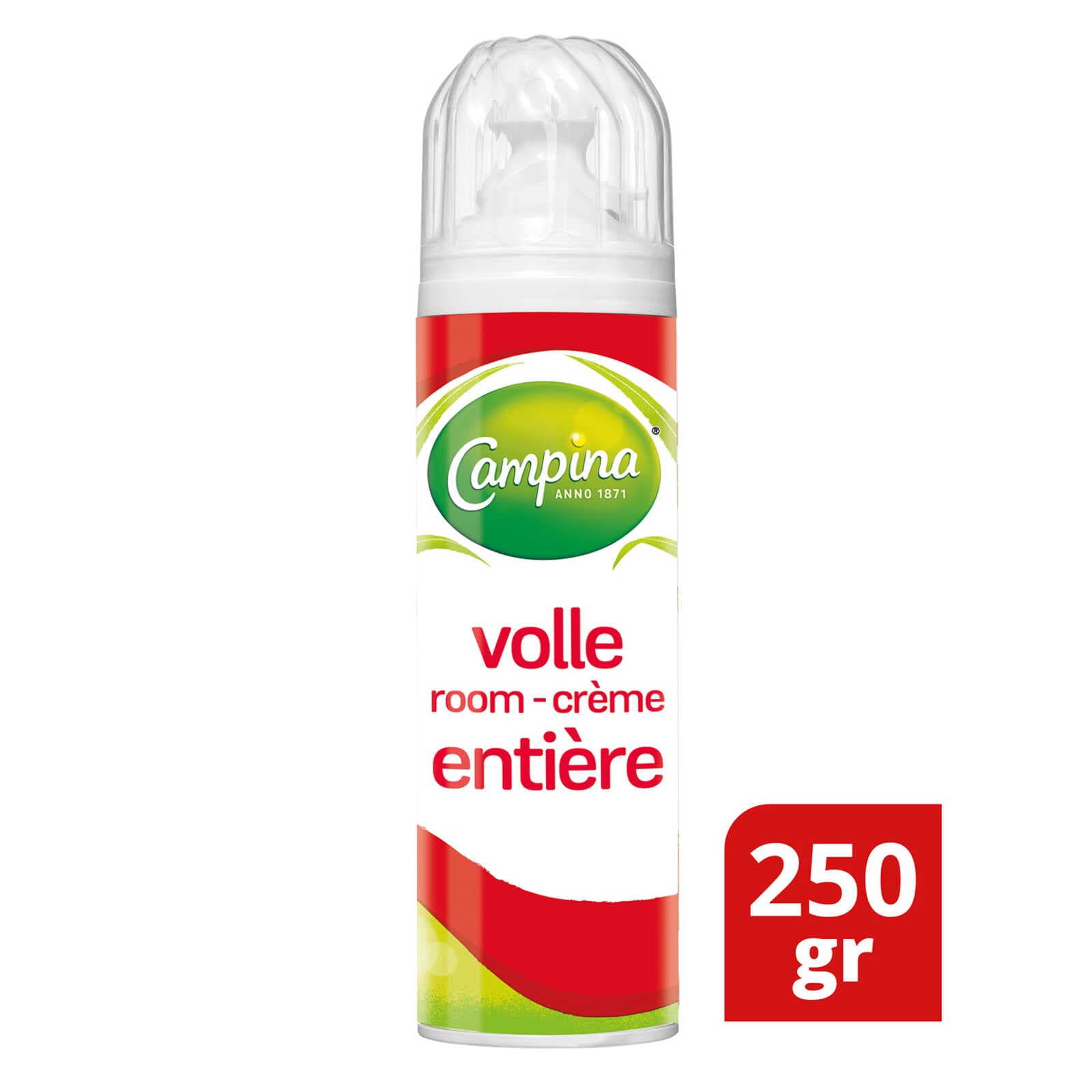 Campina Spuitbus |  volle room