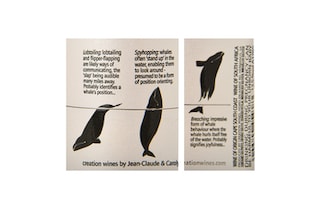 Whale Pod | Sauvignon Blanc 75 cl