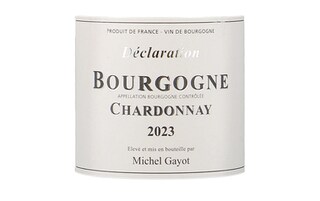 Michel Gayot | Bourgogne Chardonnay | 2023 