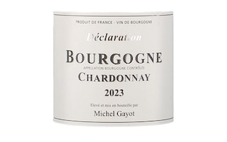 Michel Gayot | Bourgogne Chardonnay | 2023 