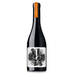Kristinus | Kristinus Parapli Chardonnnay Wit 