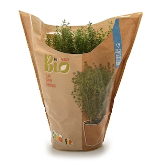 Delhaize | Bio | Thijm | Pot | Bio 