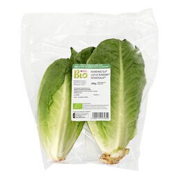Laitue Romaine | Bio
