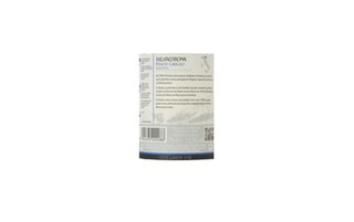 Italie - Italië | Trentino IGT | Mezzacorona Pinot Grigio Wit 