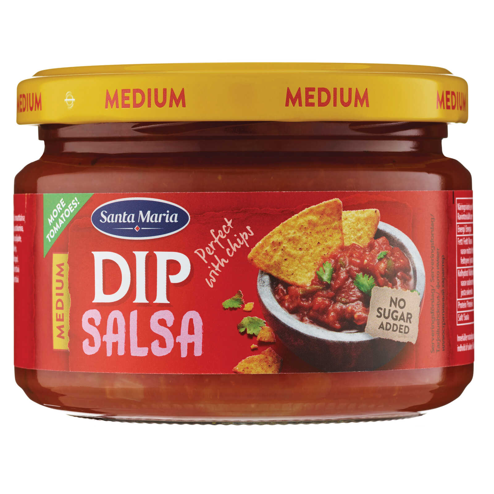 Santa Maria Dip | Salsa