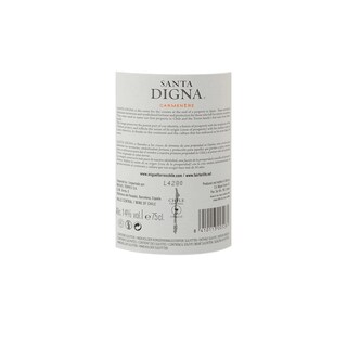 CHILI - CENTRAL VALLEY | Santa Digna | Carmenere Reserva 2013 | Fair Trade 