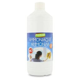 Forever | Ammoniaque 