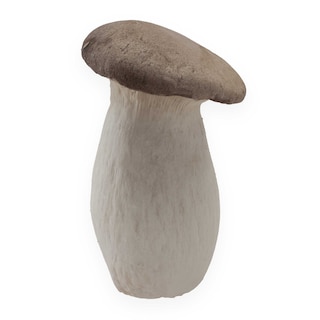 Delhaize | Koningsoesterzwam 