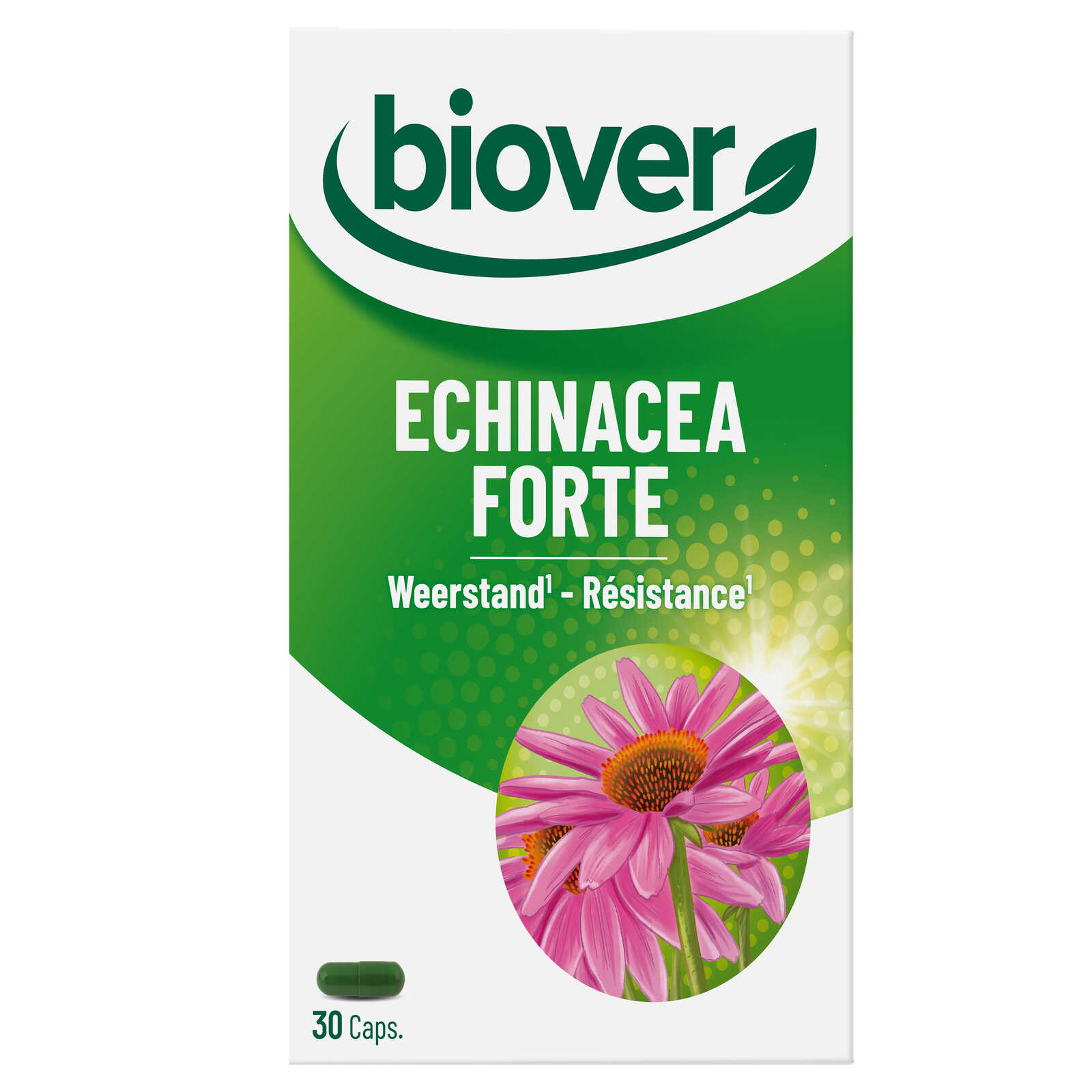 Biover Echinacea forte | Caps