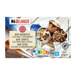 Delhaize | Mini Ijshoorn vanille en chocolade 