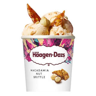 Häagen-Dazs | Macadamia nootjes | Roomijs 46 cl