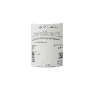 CHILI - RAPEL VALLEY | Rapel Valley | La Capitana Merlot Rouge 