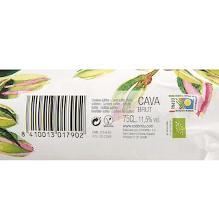 Codorníu | Cava Anna Brut + Icebucket 