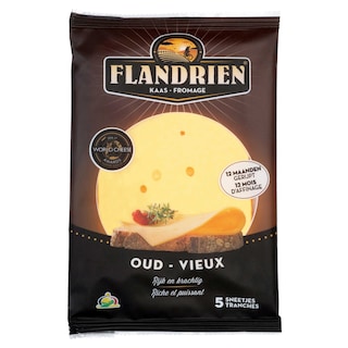 Flandrien