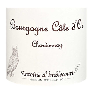 France | Bourgogne Côte Or | Wit 