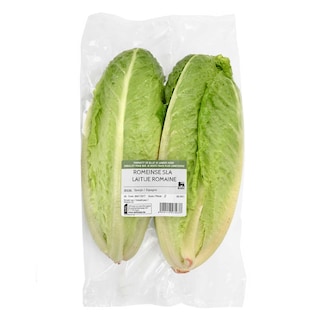 Delhaize | Romeinse sla | Verpakt 