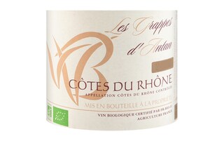 Les Grappes D'Antan | Côtes du Rhône | Bio | 2023 