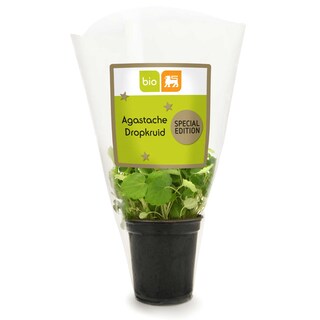 Delhaize | Bio | Agastache | Bio 