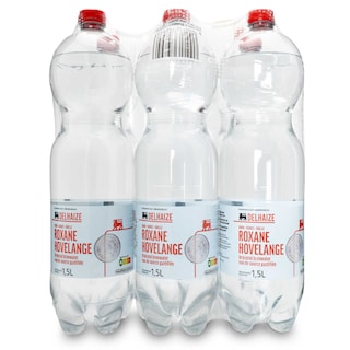 Delhaize | Water | Bruisend 
