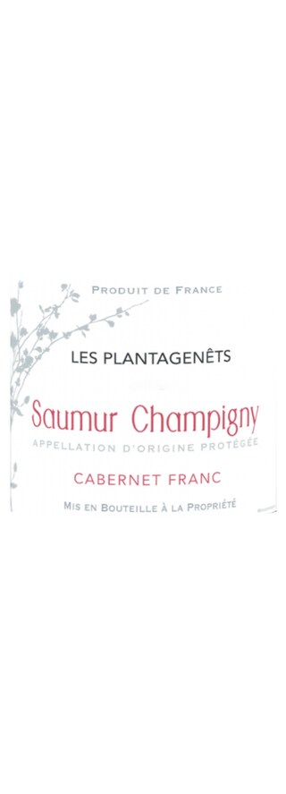 Les Plantagenets | Saumur Champigny 75 cl