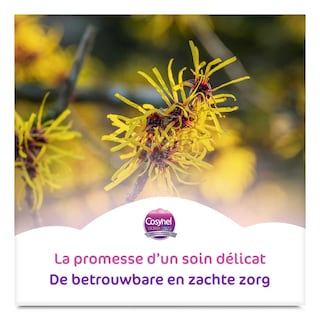 Cosynel | Toiletpapier | Ultra Care 6 st