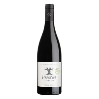 France - Frankrijk | Coteaux du Languedoc | Domaine de Fenouillet 2018 | Zonder sulfiet 