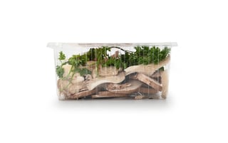 Delhaize | Mushoarma 