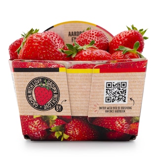 Delhaize | Aardbeien | In Schaal 