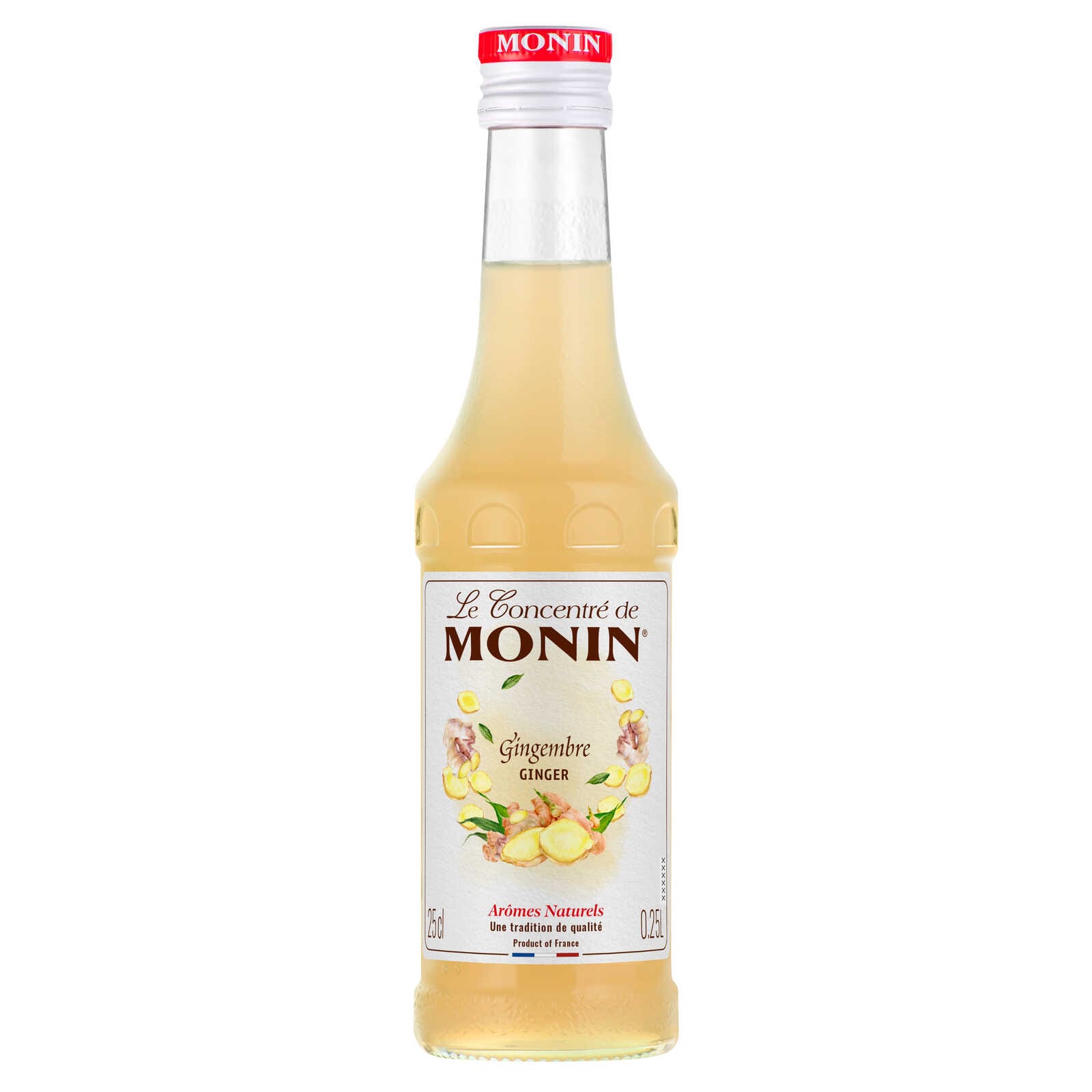 MONIN Siroop | Gember