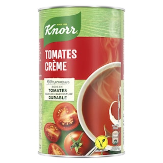 Knorr